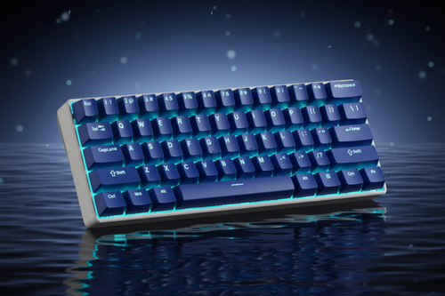 TS61 bleu